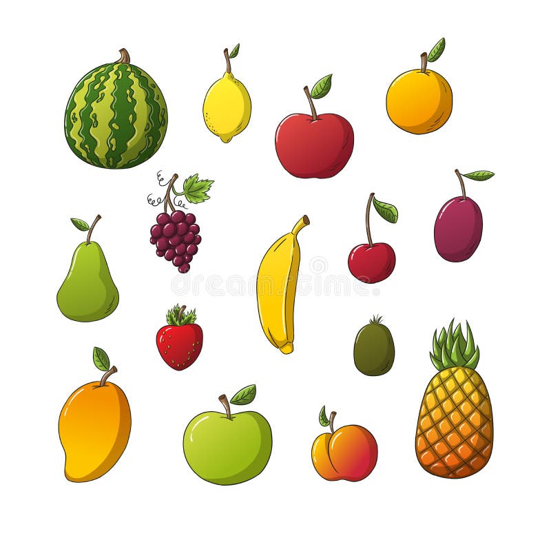 Collection Of Some Different Fruits royalty free illustration