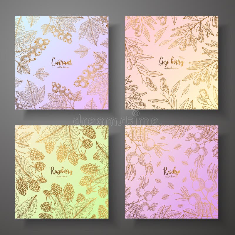 Collection of square gold cards with berries. Vector colorful illustration. Can be used for wrapping paper, farmers stock illustration Collection of square gold cards with berries. Vector colorful illustration. Can be used for wrapping paper, farmers stock illustration