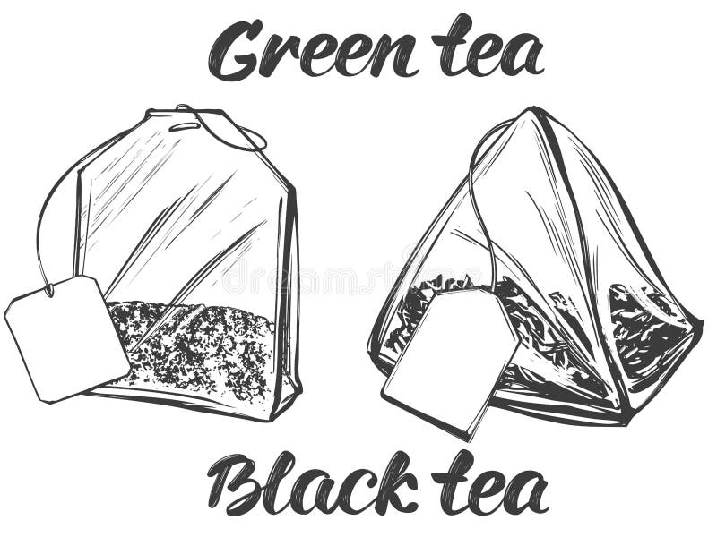 Collection of Tea Bags Isolated on White Background Hand Drawn Vector