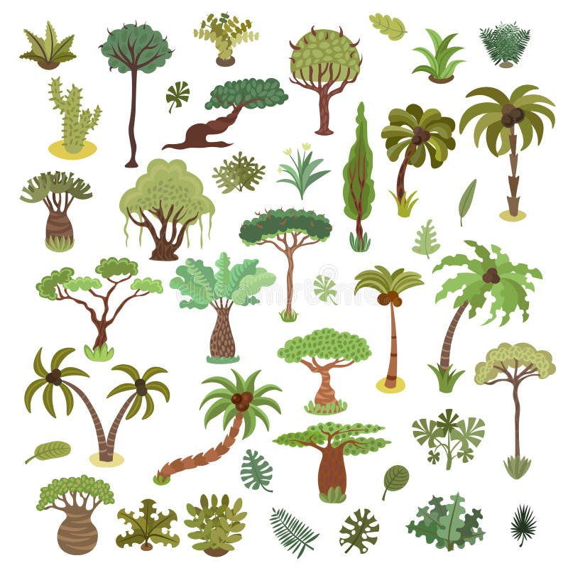 Tropica: Color Cyclopedia of Exotic Plants and Trees From