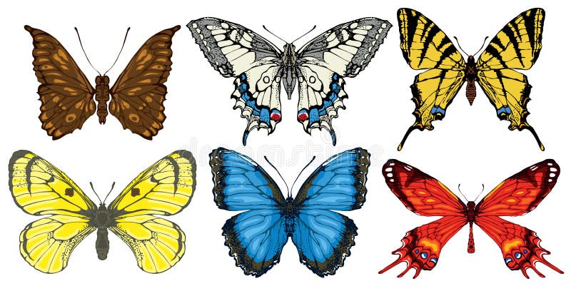 Vector set of various bright colorful butterflies stock illustration Vector set of various bright colorful butterflies stock illustration