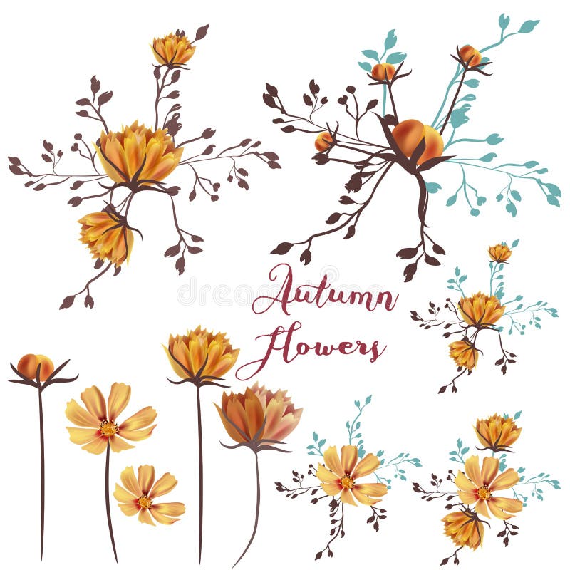 Collection of Vector Autumn Flowers for Design Stock Vector