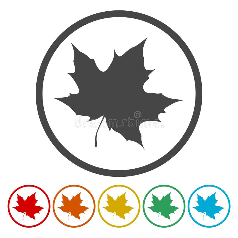 A collection of vector maple leaf icons