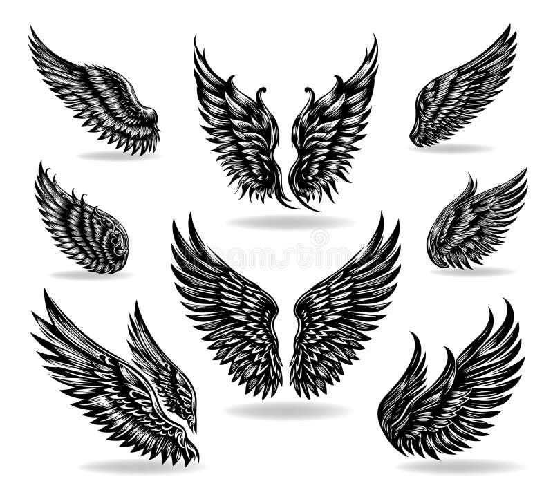 Collection of Vector Wings the Style of Engraving Stock Illustration