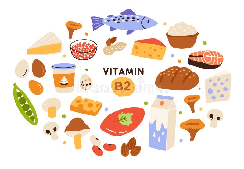 Food containing vitamin C stock illustration. Illustration of parsley -  36021546