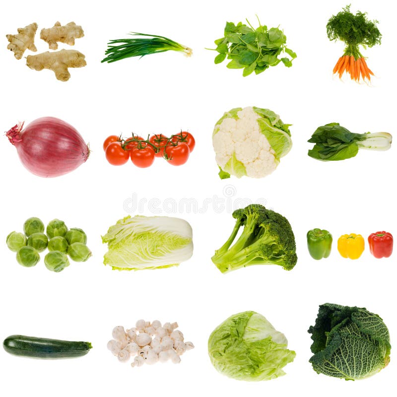 Collection végétale image stock Collection végétale image stock