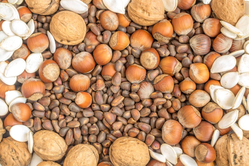 Collection of Walnuts, Hazelnuts, Pine Nuts and Pumpkin Seeds Stock
