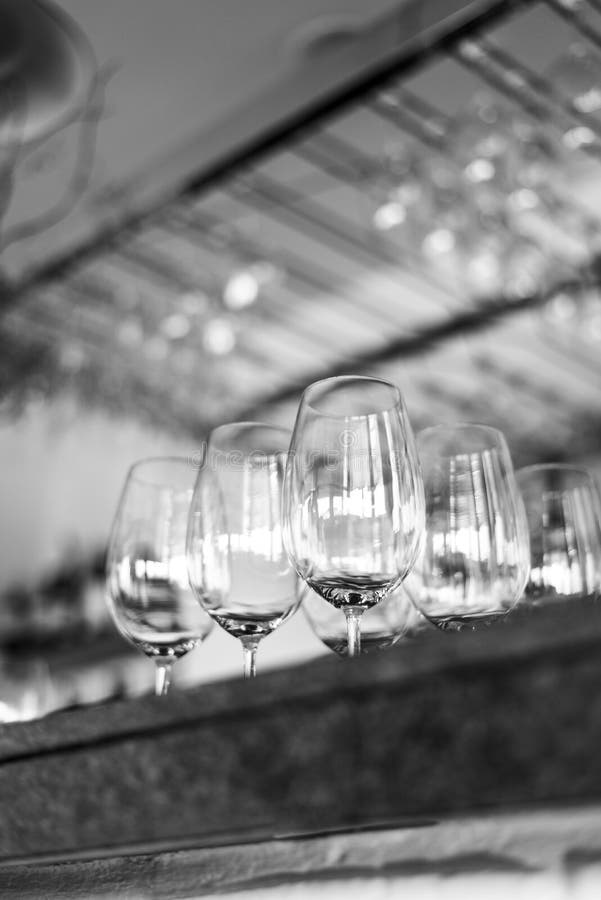 Collection of Wine Glasses on a Bar Stock Image Image of chic, white