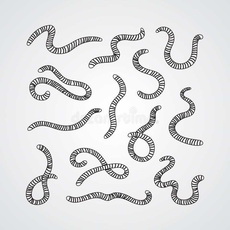 Collection of Worms. Illustration of Animal, Nature, Fishing, Earth and  Ground. Set of Earthworms Stock Vector - Illustration of cutout, line:  137451584