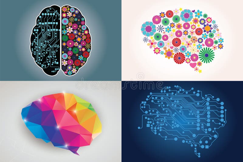 Collections of four different human brains, left and right side vector illustration Collections of four different human brains, left and right side vector illustration