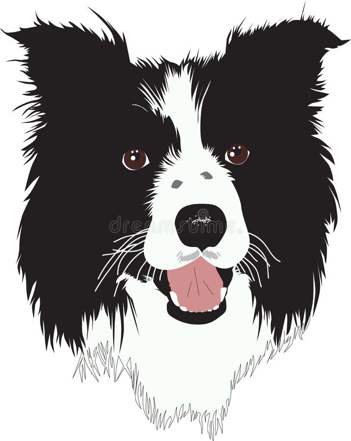 Collie de beira - ilustração ilustração royalty free Collie de beira - ilustração ilustração royalty free