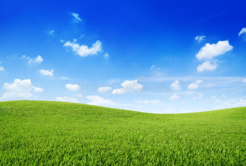 Collina dell'erba verde e chiaro cielo blu