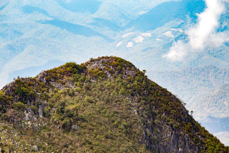 Collina della montagna nella foresta con cielo blu e la nuvola bianca per l'escursione del viaggiatore a Chiangdao, Chiangmai, Ta fotografia stock libera da diritti Collina della montagna nella foresta con cielo blu e la nuvola bianca per l'escursione del viaggiatore a Chiangdao, Chiangmai, Ta fotografia stock libera da diritti