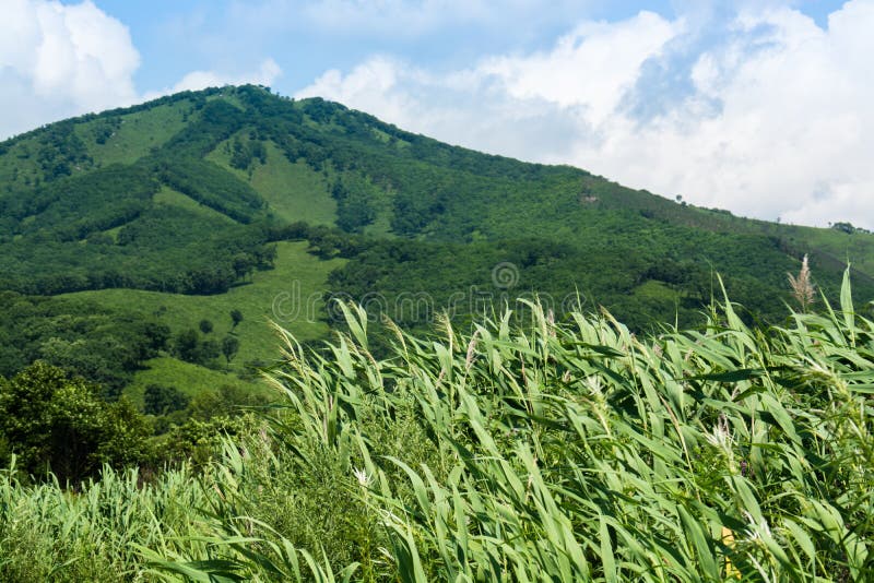 Collina verde contro cielo blu con le nuvole fotografia stock libera da diritti Collina verde contro cielo blu con le nuvole fotografia stock libera da diritti