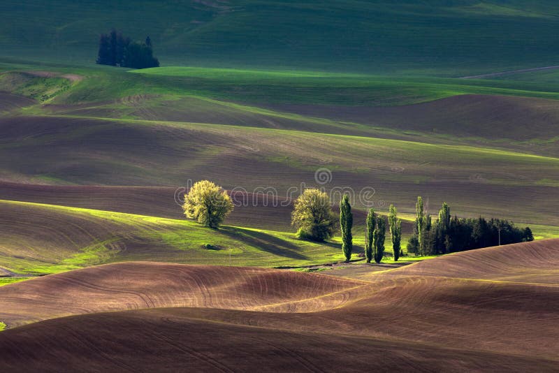 Colline de roulement et terre de ferme image stock Colline de roulement et terre de ferme image stock