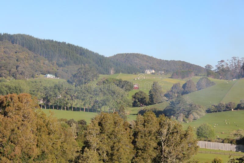 Colline, prati e cespuglio su un allevamento di pecore della Nuova Zelanda