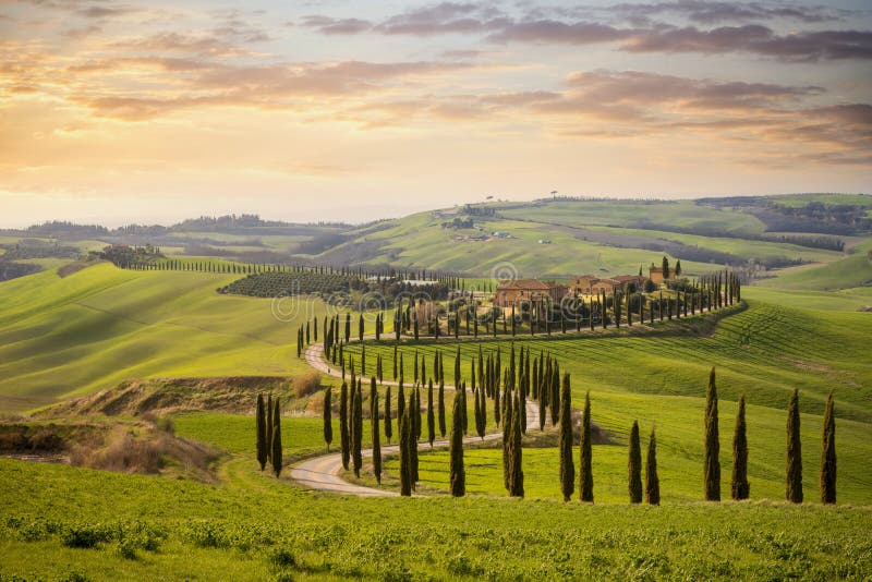 Colline toscane avec la rang? e des arbres de cypr? s et des fermes au coucher du soleil Horizontal toscan l'Italie photos stock