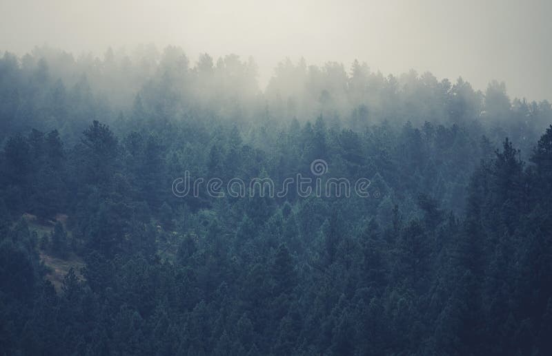 Collines brumeuses du Colorado images stock Collines brumeuses du Colorado images stock