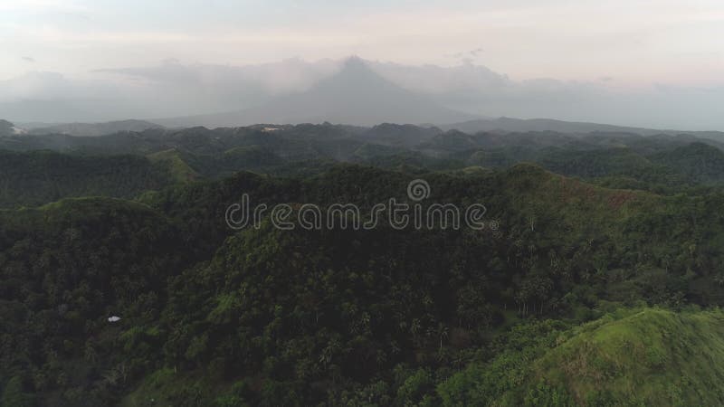Collines de la forêt tropicale de l'Asie aériennes : Le volcan Mayon à la ville de Legazpi Philippines. Paysage philippin de natur clips vidéos