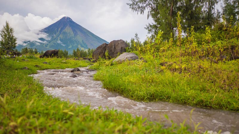 Collines du volcan Mayon avec les rivières débordantes de montagne près de la ville de Legazpi à Philippines Le volcan Mayon est banque de vidéos