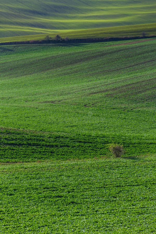 Collines vertes de la Moravie photographie stock libre de droits Collines vertes de la Moravie photographie stock libre de droits