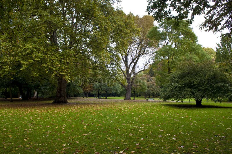 Cologne botanic gardens stock image. Image of botanic - 16675687