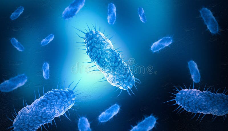 Colonia de bacterias bajo microscopio ilustración. investigación de laboratorio