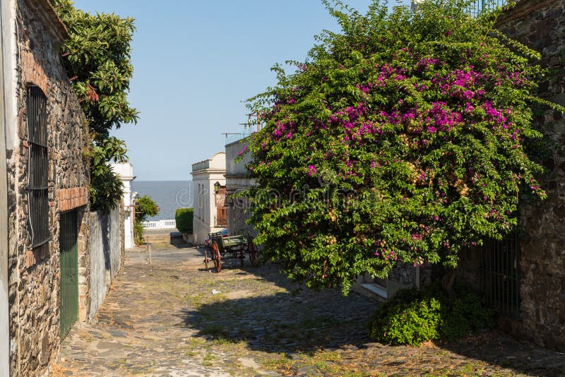 Colonia del Sacramento, een stad in zuidwestelijk Uruguay stock afbeeldingen Colonia del Sacramento, een stad in zuidwestelijk Uruguay stock afbeeldingen