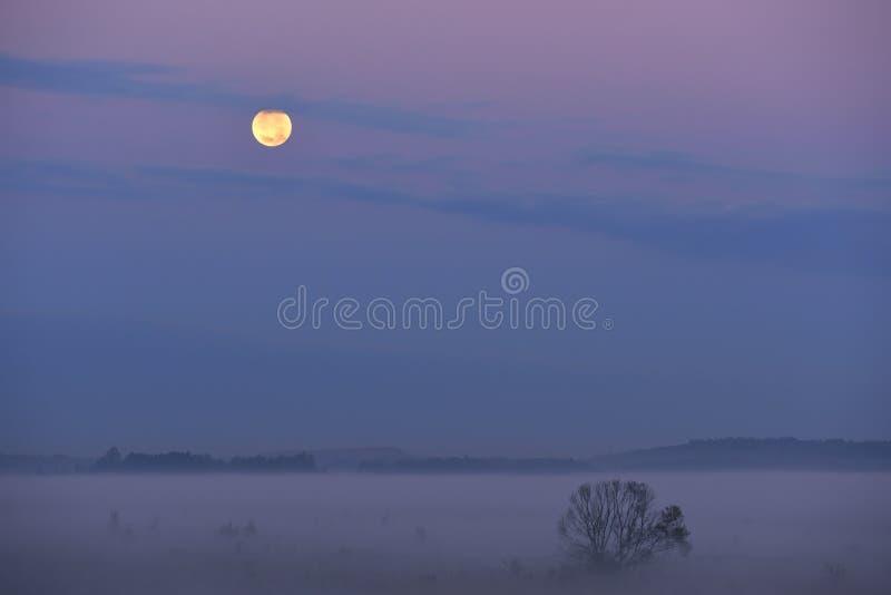 Coloque en niebla en la madrugada y la luna grande llena foto de archivo libre de regalías Coloque en niebla en la madrugada y la luna grande llena foto de archivo libre de regalías