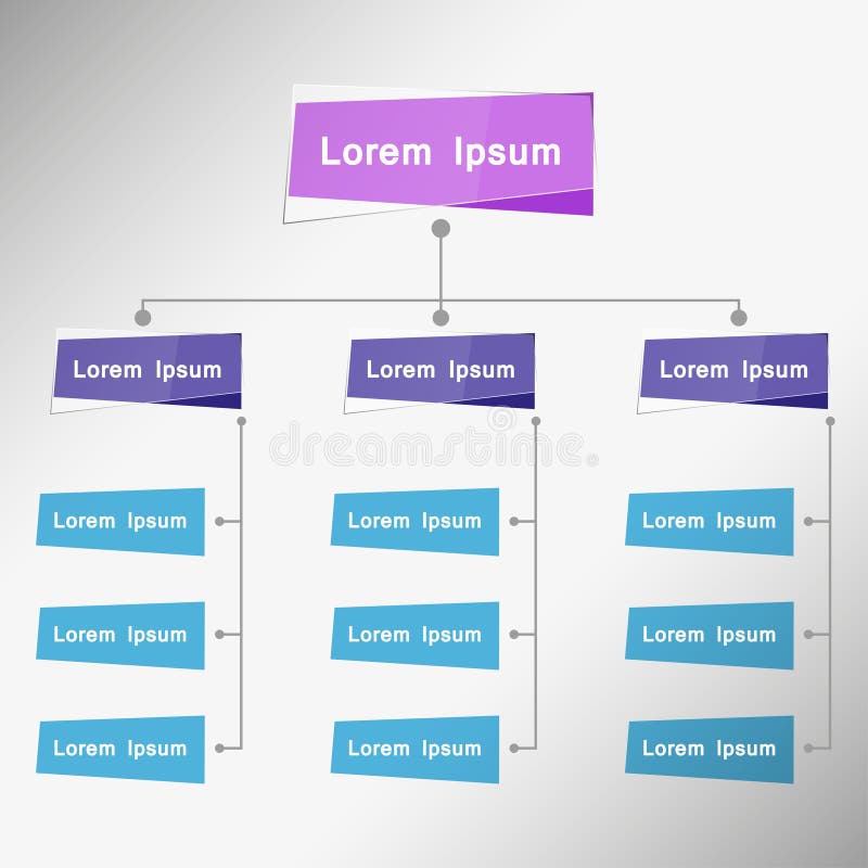 organizational flowchart