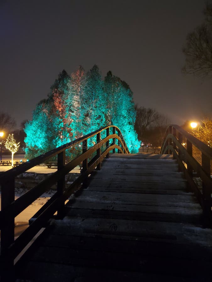 Color creativo para las navidades. El bridge to tom patterson island se encuentra frente a árboles muy iluminados que forman parte de una presentación navideña en stratford ontario.