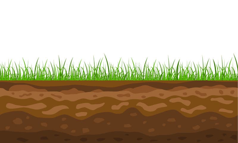 Color Cross Section of Ground with Grass. Vector Stock Vector