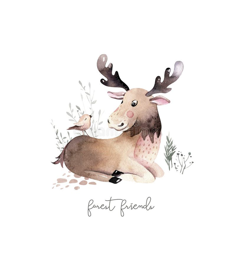 Color de agua de bosque lindos animales bebé elenco. diseño de afiche para el vivero del bosque de alce. carácter aislado ilustración del vector