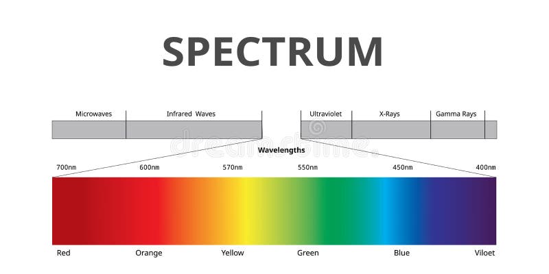 Visible Spectrum color, Electromagnetic Spectrum that Visible to the human eye, Sunlight color, infographic. Visible Spectrum color, Electromagnetic Spectrum that Visible to the human eye, Sunlight color, infographic