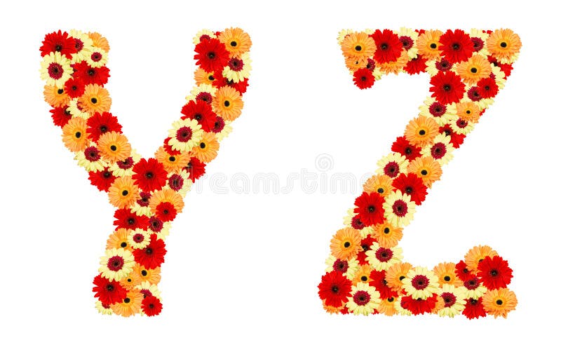 Color flower font from gerber flowers isolated
