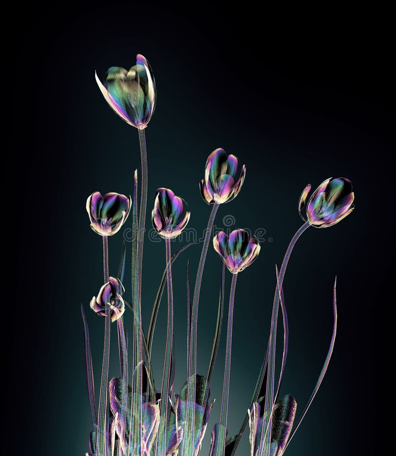 Color glass flower isolated on black , the crocus royalty free illustration