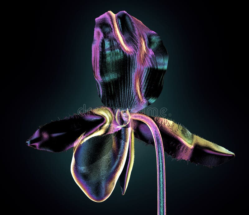 Color glass flower isolated , the orchide royalty free illustration