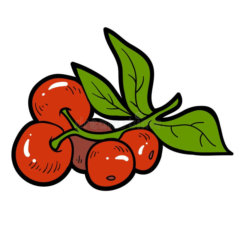Image result for cartoon cranberry