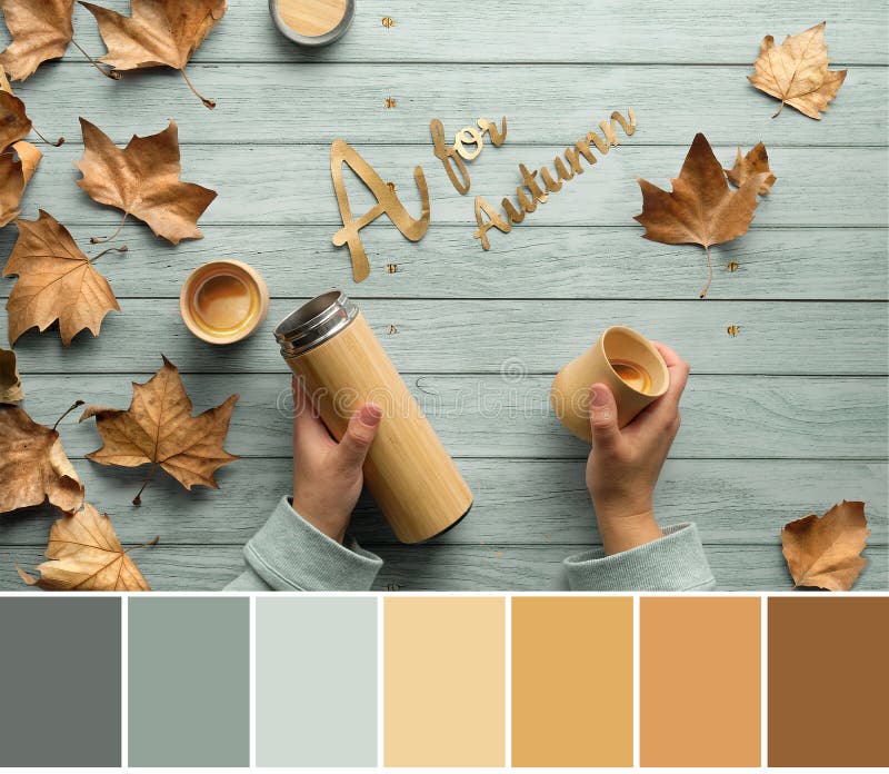 Color matching palette from top view image of Zero waste coffee in Fall. Text A for Autumn. Hands hold thermos flask and bamboo royalty free stock photo