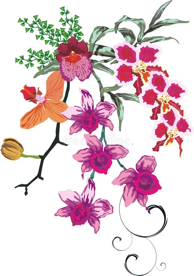 Color orchid decoration