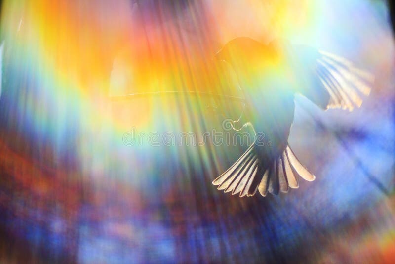 Color spectrum and a sparrow in flight