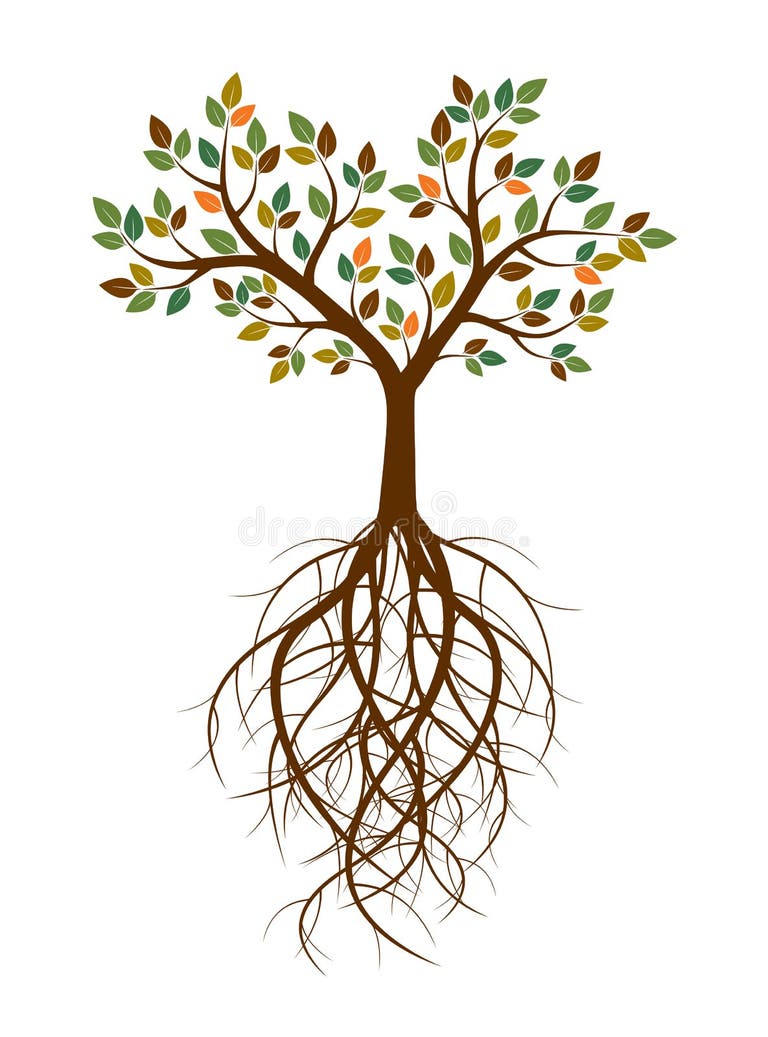 Color Tree Roots Stock Illustrations 2,290 Color Tree Roots Stock