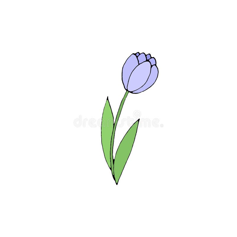 tulip doodle tulip doodle