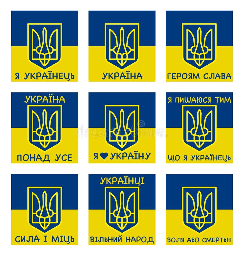 My Image 7