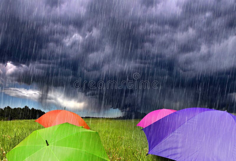 Color Umbrellas in Rainy Storm Clouds Stock Photo Image of shelter