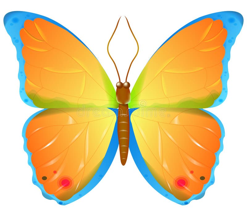 Color vector butterfly