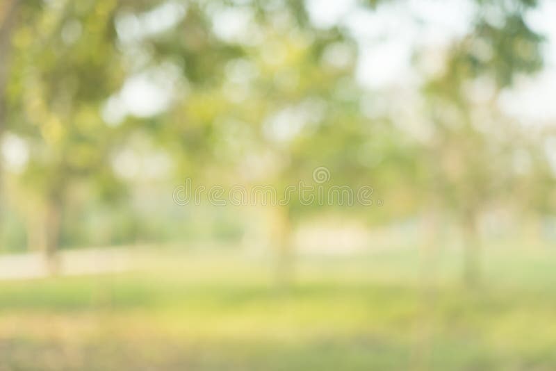 Color verde de la falta de definición abstracta para el fondo, borroso y defocused fotografía de archivo libre de regalías Color verde de la falta de definición abstracta para el fondo, borroso y defocused fotografía de archivo libre de regalías