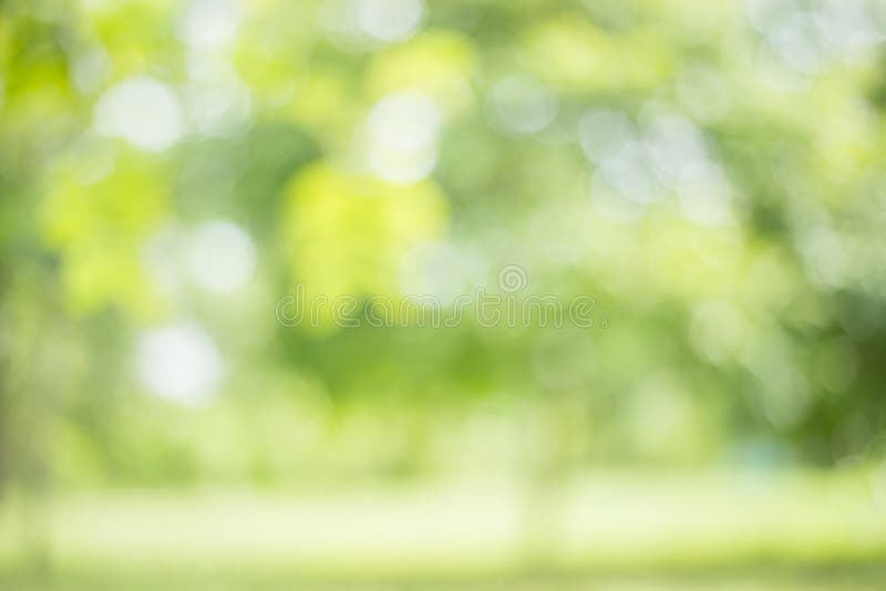 Color verde de la falta de definición abstracta para el fondo, borroso y defocused imagen de archivo libre de regalías Color verde de la falta de definición abstracta para el fondo, borroso y defocused imagen de archivo libre de regalías