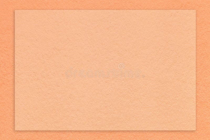 Peach Color Cardboard Surface. Vertical Peachy Background with a