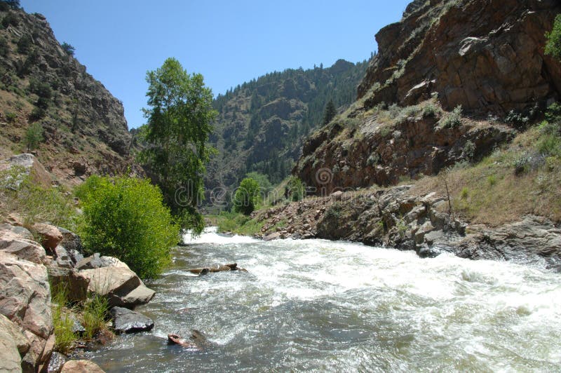 Colorado Mountain Stream 5